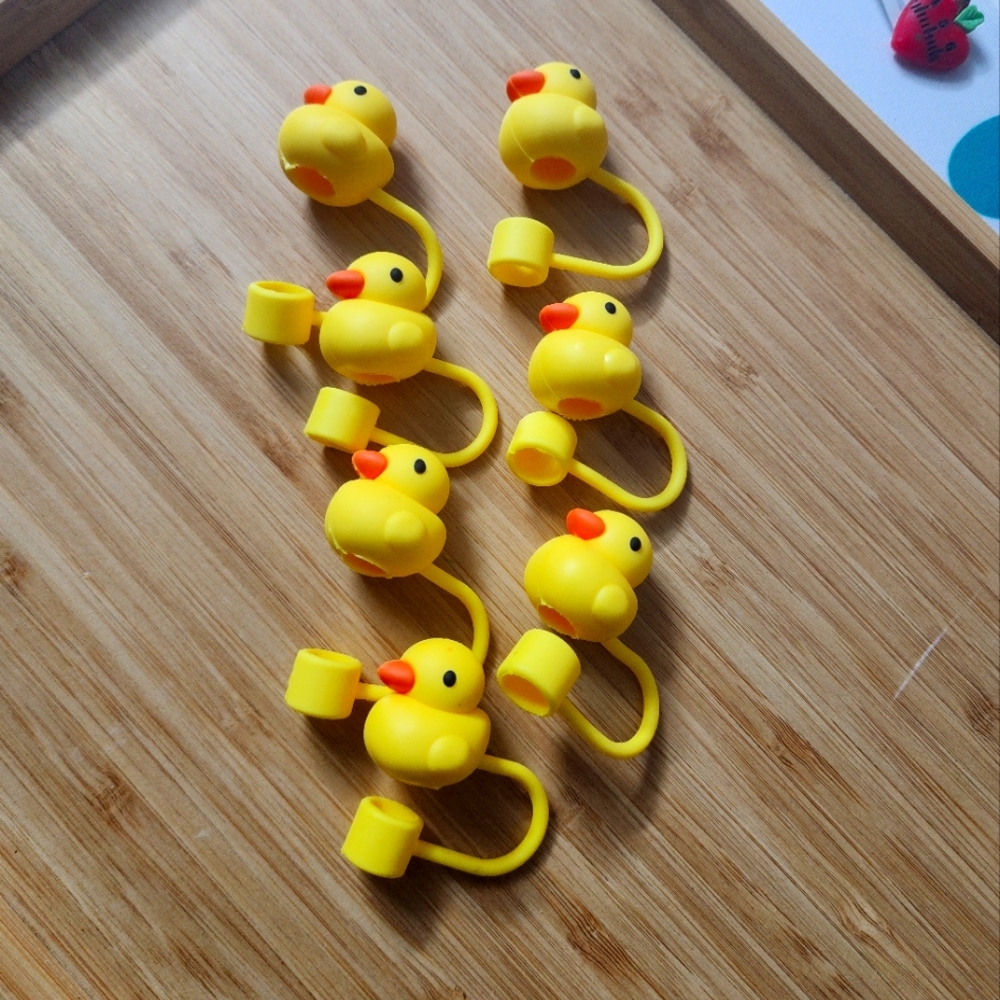 Straw Cover Duck